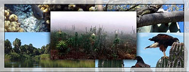 Planeación Ambiental y Conservación