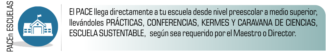activiadesEscuelas