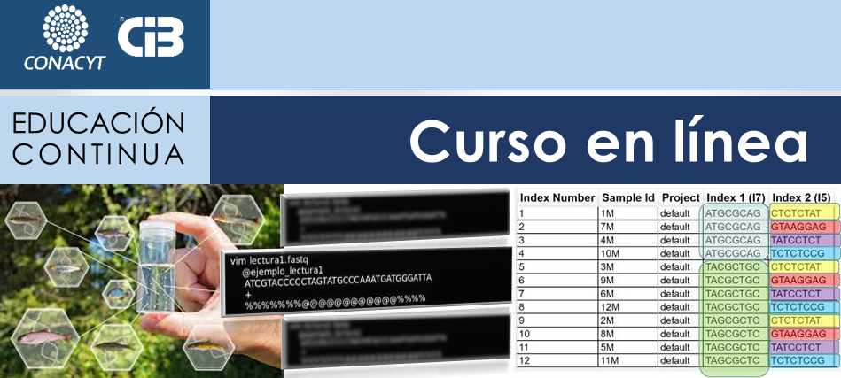 Ejemplo de Imagen a mostrar en encabezado