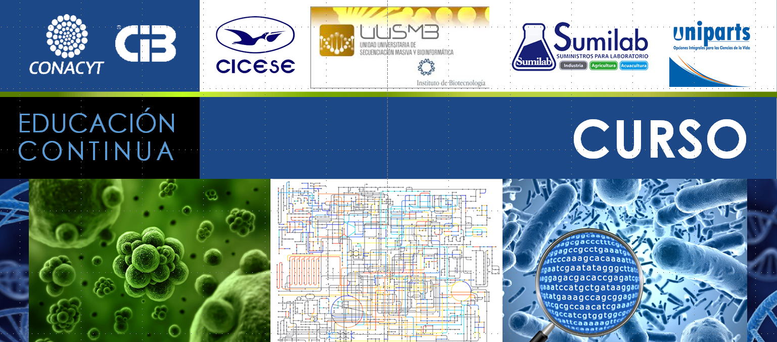 img cintillo Curso Metagenomica funcional