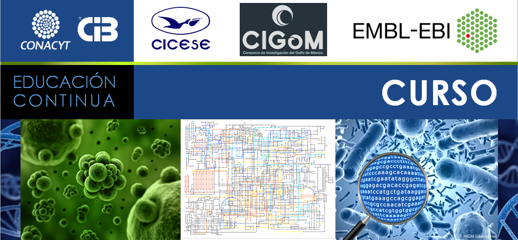 img cintillo Curso Metagenomica funcional