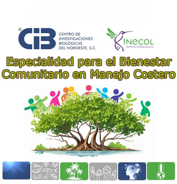 Especialidad BCMC