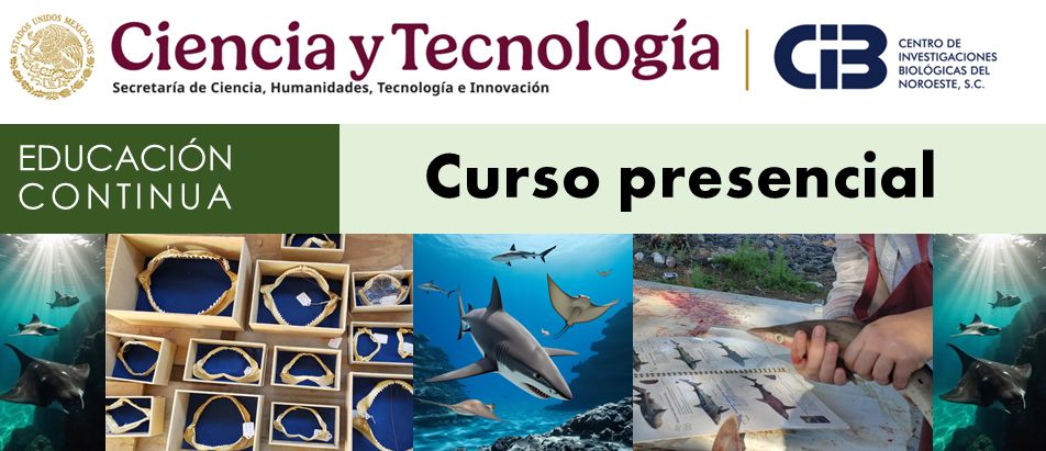 cintillo curso Aprendiendo sobre elasmobranquios 20250506