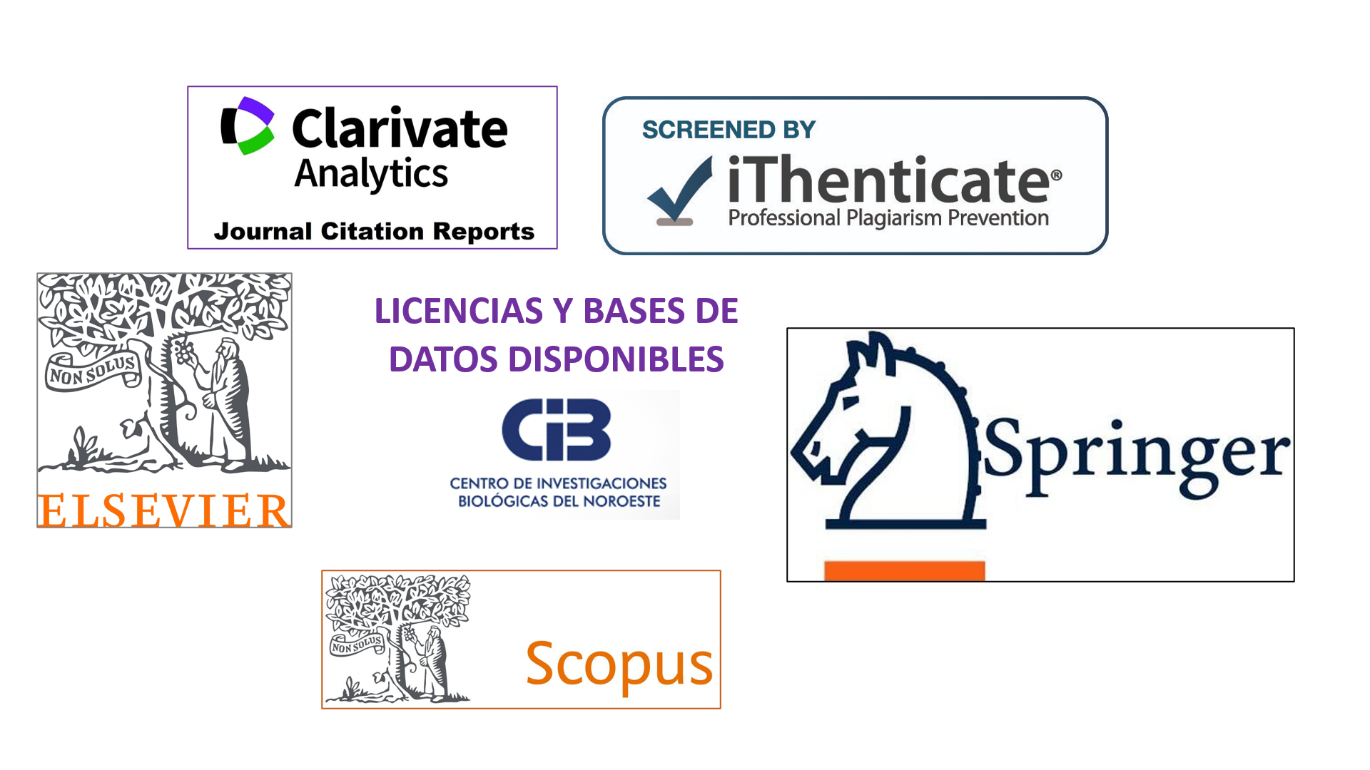 img Accesos y licencias sin Grammarly y Biorender Posgrado CIBNOR 20221130