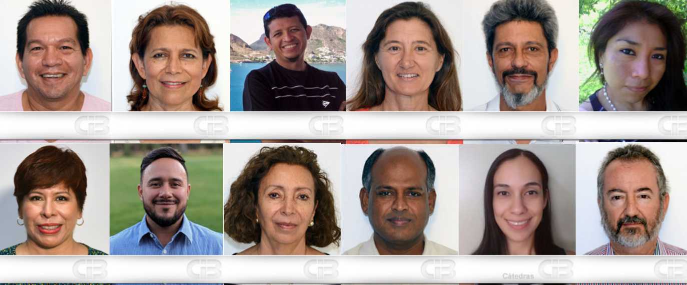 collage profesores