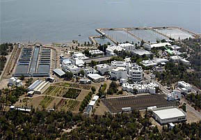 Vista aerea CIBNOR, S.C.