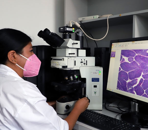 Histología
