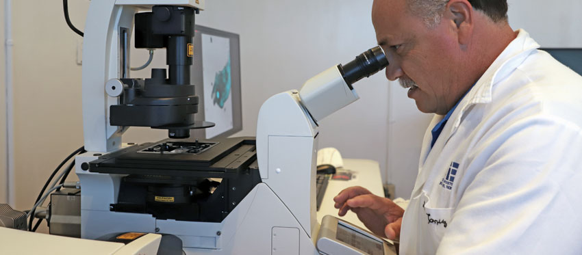 Microscopia 2