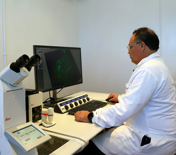 Microscopia Electrónica