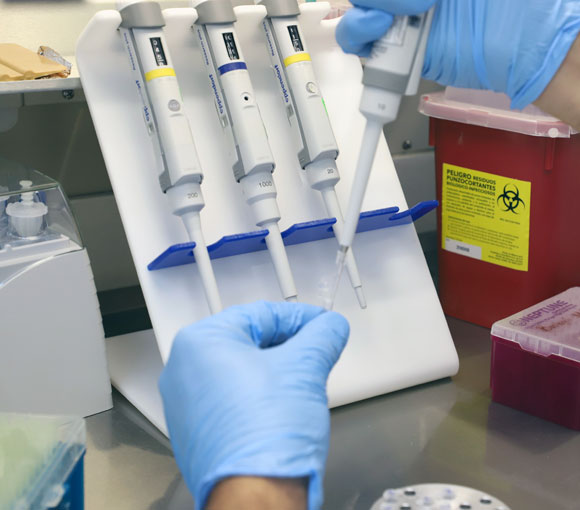 Biología molecular