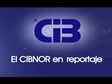 Cápsula: reportaje