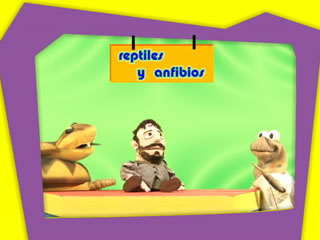 ecoNota Reptiles y Anfibios